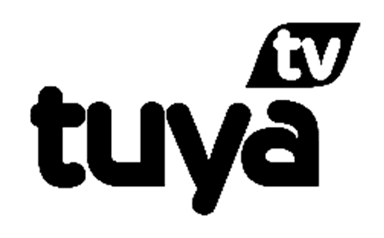 Televisión logo 15